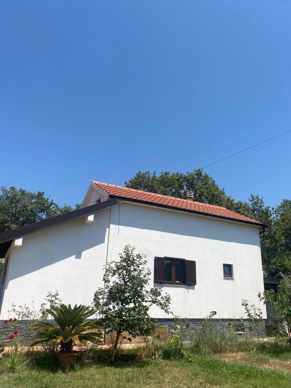 Villa Shu Krimovica 외부 사진